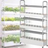 Indoor Hydroponic Growing System with LED Grow Light - Self-Watering Kit for Herbs, Fruits, & Vegetables - Perfect for Home Gardening & Plant Enthusiasts
