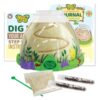 Insect Lore Ant Hill with Live Ants – Ant Habitat Kit with 50 Live Ants Included – STEM Educational Kit for Home or Classroom Observation