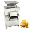 IntXanth 110V Fruit Juicer Fully Automatic Juice Extractor Roller Juicer