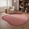 Irregular Shaped Rug Modern Abstract Geometric Striped Border Indoor Rugs