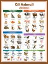 Italian Grammar Poster - Bilingual language school chart: Animals