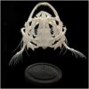 IVQAPP Animal Skull Specimen Monkfish Skull Head Model – Realistic Fish Heads Skeleton Decorations – Art Bone Monkfish Skull Model – for Teaching Study Display Home Decor (A)