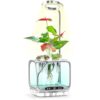 Izestee DIY Aeroponics Growing System kit with Full Spectrum Grow Light