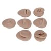 Jauarta Silicone Body Model, 7 Piece Practice Set with Acrylic Racks