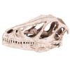 Jiawu Resin Dinosaur Skull Model Lifelike Animal Skeleton, Desktop Decor Craft for Home Office Teaching Prop, EcoFriendly Skull Dinosaur Enthusiasts