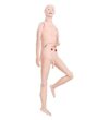 JTYZWLRBY Teaching Model Scientific Care Manikin,Care Simulator,Male and Female Nursing Manikin Human Anatomical Model for Nursing Training