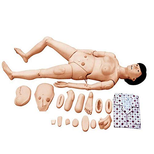 JTYZWLRBY Teaching Model Scientific Care Manikin, Female Nursing Training Simulation Model Care Simulator Male and Female Nursing Manikin Human Anatomical Model for Nursing Training