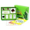 JunZheHub Children Learning Specime Science Exploration Resin Blocks Tray Collection Organizer Learning Sheets Cards Hands On Study Suitable for Classroom, Various Mushrooms