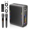 Karaoke Machine for Adults, Portable Bluetooth Karaoke Speaker with 2 Wireless Microphones, 2 Voice Mode & LED Party Lights, Home Party Birthday Gifts for Kids Family,Supports BT/TWS/AUX/USB/TF