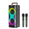 Karaoke Machine with 2 Rechargeable Mics, Home Karaoke with Lights
