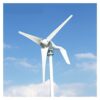 KGKGK Wind Generator, 1000W 24V Wind Turbine Generator with MPPT Controller with 8 Blades Small for Home Use Low Noise High Efficiency(3,MPPT Controller,24V)