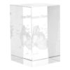 KHBUAB Crystal Cube Human Heart Anatomical Model Figurine for Students