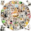 Kiddiburra104 Pcs Cute Cat Stickers Pack for Water Bottle