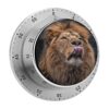 Kitchen Timer with Loud Alarm and Magnetic Backing 60 Minute Visual Timer