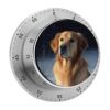Kitchen Timer with Loud Alarm and Magnetic Backing 60 Minute Visual Timer