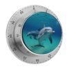 Kitchen Timer with Loud Alarm and Magnetic Backing 60 Minute Visual Timer