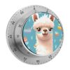 Kitchen Timer with Loud Alarm and Magnetic Backing 60 Minute Visual Timer