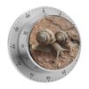 Kitchen Timer with Loud Alarm and Magnetic Backing 60 Minute Visual Timer