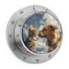 Kitchen Timer with Loud Alarm and Magnetic Backing 60 Minute Visual Timer