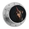 Kitchen Timer with Loud Alarm and Magnetic Backing 60 Minute Visual Timer
