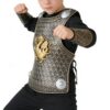 Knight Costume For Boys | Medieval Cosplay Apparel