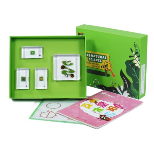 kowaku Children Learning Biology Kit with Resin Sample Blocks Tray Box Cards and Study Sheets Organized Display Suitable for Classroom Homeschool Self, Array, Ladybug Growth Story