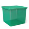 Large Green Plastic Storage Box with Lid