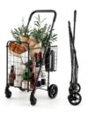 LDAILY Folding Shopping Cart, Double Basket Utility Cart