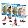 Learning Resources Anatomy Models Bundle Set