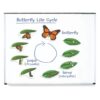 Learning Resources Giant Magnetic Butterfly Life Cycle - Write-and-Wipe Teaching Aids and STEM Decor, Butterfly Life Cycle Models, Dry Erase Accessories for Homeschool or Classroom