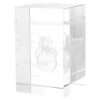 Levemolo Crystal Cube Human Heart Anatomical Model 3D Engraved Display