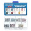 LIDUOLE 14PCS Mini Slotted Fuses Kit with MCASE Cartridge Fuse Assortment