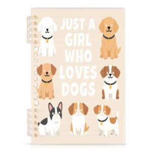linqin A5 Refillable Loose Leaf Notebook 1 Pack