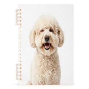 linqin A5 Refillable Loose Leaf Notebook 1 Pack