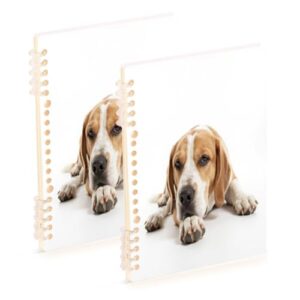 linqin A5 Refillable Loose Leaf Notebook 2 Pack