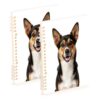 linqin A5 Refillable Loose Leaf Notebook 2 Pack