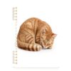 linqin A5 Travel Diary Notebook for Note Taking 1 Pack