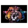 Lion Scratch Art for Teens & Adults Rainbow Sketch Pads with 3 Tools 15
