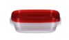 LIVINGLIO GLOBAL Divided Rectangular Storage Containers, 3.7 Cup, 3-Pack, Reusable Containers with Lids for Meal Prep, Kitchen Organization & Everyday Storage