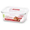 LockorLock 600ml Rectangular Glass Storage Container LLG455