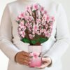 Lovepop Everyday Pop-Up Card for Her and Him - 3D Pop-Up Bouquet Greeting Cards for Men, Women - Cherry Blossom - 12" x 8.5" Floral Bouquet - Blank Note Card Included