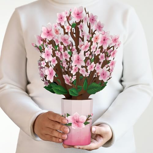 Lovepop Everyday Pop-Up Card for Her and Him - 3D Pop-Up Bouquet Greeting Cards for Men, Women - Cherry Blossom - 12" x 8.5" Floral Bouquet - Blank Note Card Included