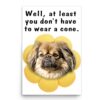 Lovesout Sable Tibetan Spaniel Poster, Get Well Soon, 12x18