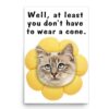 Lovesout Seal Point Birman Cat Poster, Get Well Soon, 12x18