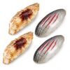 LUOZZY 4 Pcs Artificial Sushi Food Model Set for Restaurant Display Size L