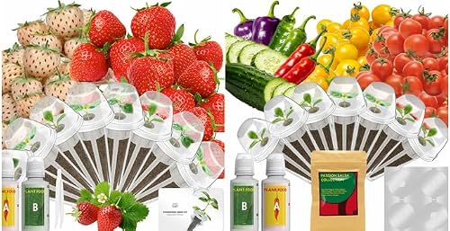 LYKOCLEAN 8 Pods Gourmet Herb Seed Pod Kit and 7 Pods Tomato Seeds Pod Kit, Compatible with Aerogarden, Ahopegarden, Letpot Hydroponics Growing System