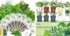 LYKOCLEAN Herb Seed Pod Kit and 10 Indoor Herb Garden Kit