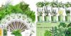 LYKOCLEAN Herb Seed Pod Kit and 10 Indoor Herb Garden Kit