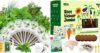 LYKOCLEAN Herb Seed Pod Kit and Large Root Viewer Kit for Kids STEM Science Toy Growing Kits