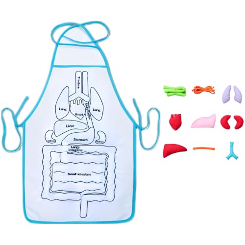 Machify Human Organs Apron, 3D Educational Toy with 9 Removable Plush Organs, Anatomy Teaching Tool for Classroom and Home Education, English Version Anatomy Set for Science Learning